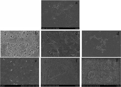 Involvement of Exogenous N-Acyl-Homoserine Lactones in Spoilage Potential of Pseudomonas fluorescens Isolated From Refrigerated Turbot
